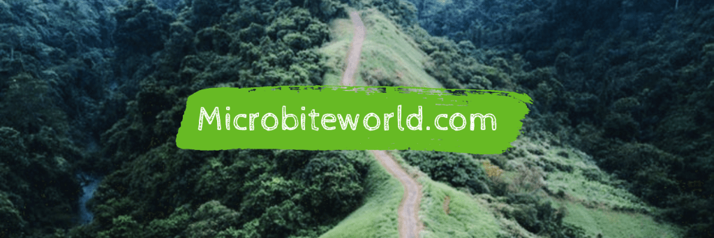 Microbiteworld
