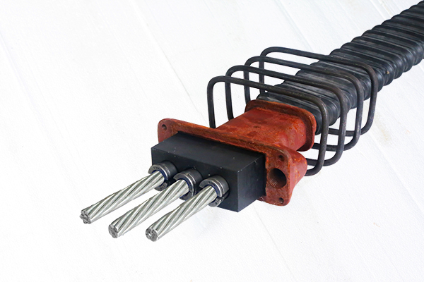 Post Tensioning Anchorage (PT Anchor)